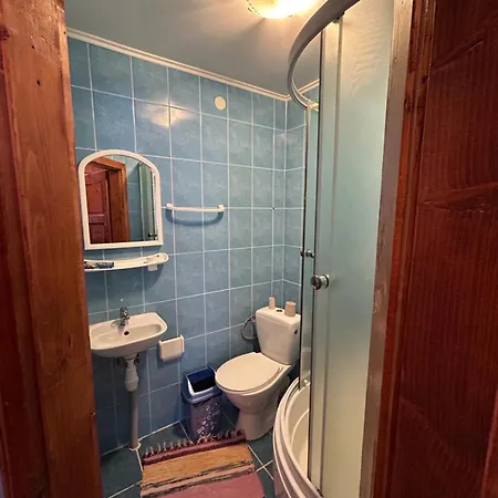 калина Dragobrat