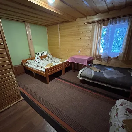 калина Dragobrat