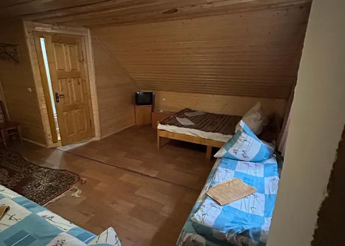 калина Bed & Breakfast Dragobrat