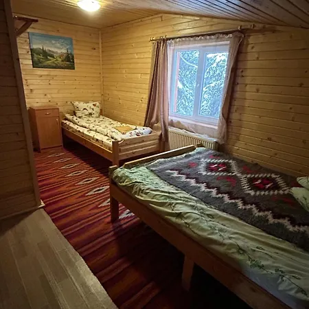 калина Drahobrat