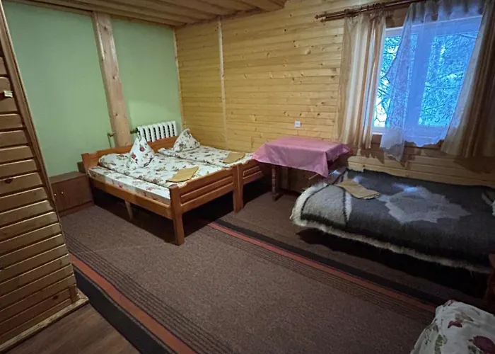 калина Dragobrat